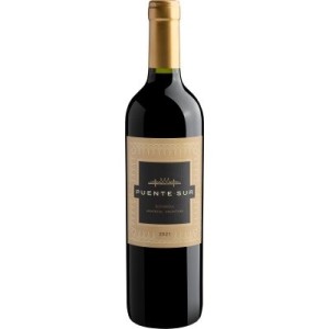 Vinho Tinto Puente Sur Bonarda 750ML