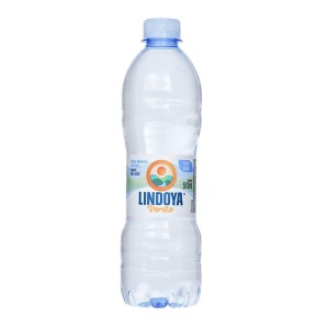 Água Lindoya Verão 510ml