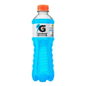 Gatorade Frutas Silvestres 350ml